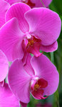 IMG_1932003