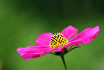 IMG_1980022