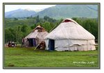 Frame_IMG_6580 eweb