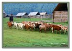 Frame_IMG_6593 eweb
