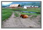 Frame_IMG_6595 eweb