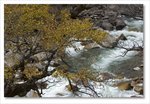 Frame_IMG_8497 e