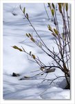 Frame_IMG_8710 e