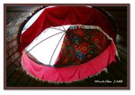 Frame_IMG_7073 eweb
