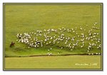 Frame_IMG_7345 e2web
