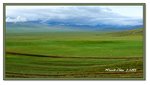 Frame_IMG_7494 eweb