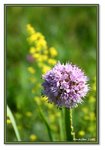 Frame_IMG_6901 eweb