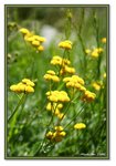 Frame_IMG_6903 eweb