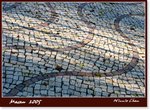 Frame_IMG_6373 eweb