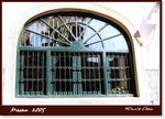 Frame_IMG_6352 eweb