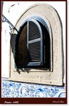 Frame_IMG_6356 eweb