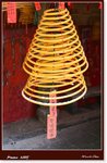 Frame_IMG_6259 eweb