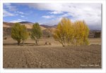 Frame_IMG_8507 e