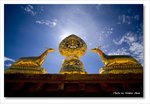 Frame_IMG_8039_edited-1