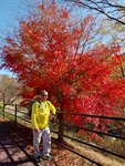 IMG-20231109-WA0104