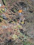 IMG-20231112-WA0340