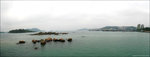 西頁海旁_2