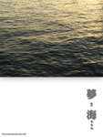 夢，海…