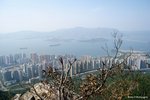 IMG_4289