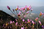 IMG_4365