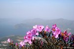 IMG_4379