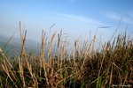 IMG_4386