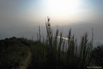IMG_4408
