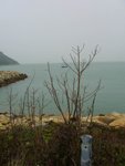 CIMG0798