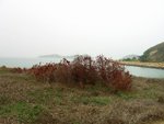 CIMG0800