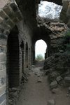 IMG_0993