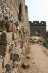 IMG_0784