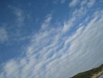 IMG_6386