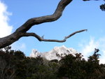 DSCN5142