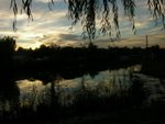 DSCN0195