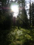 DSCN9219