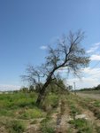DSCN9527