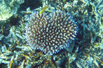 IMG_3349