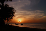 IMG_0664a