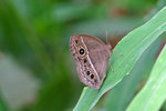 IMG_6185