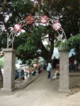 DSCF0103