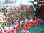 DSCF0008