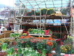 DSCF0009
