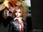 ifc08
