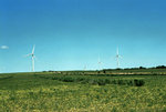 Wind Farm on Great Northern Highway