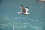 IMG_0500