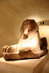 The Louve Museum