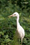 IMG_3046a