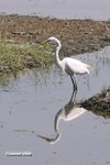 IMG_3555a