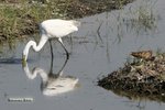 IMG_3648a