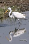 IMG_3649a